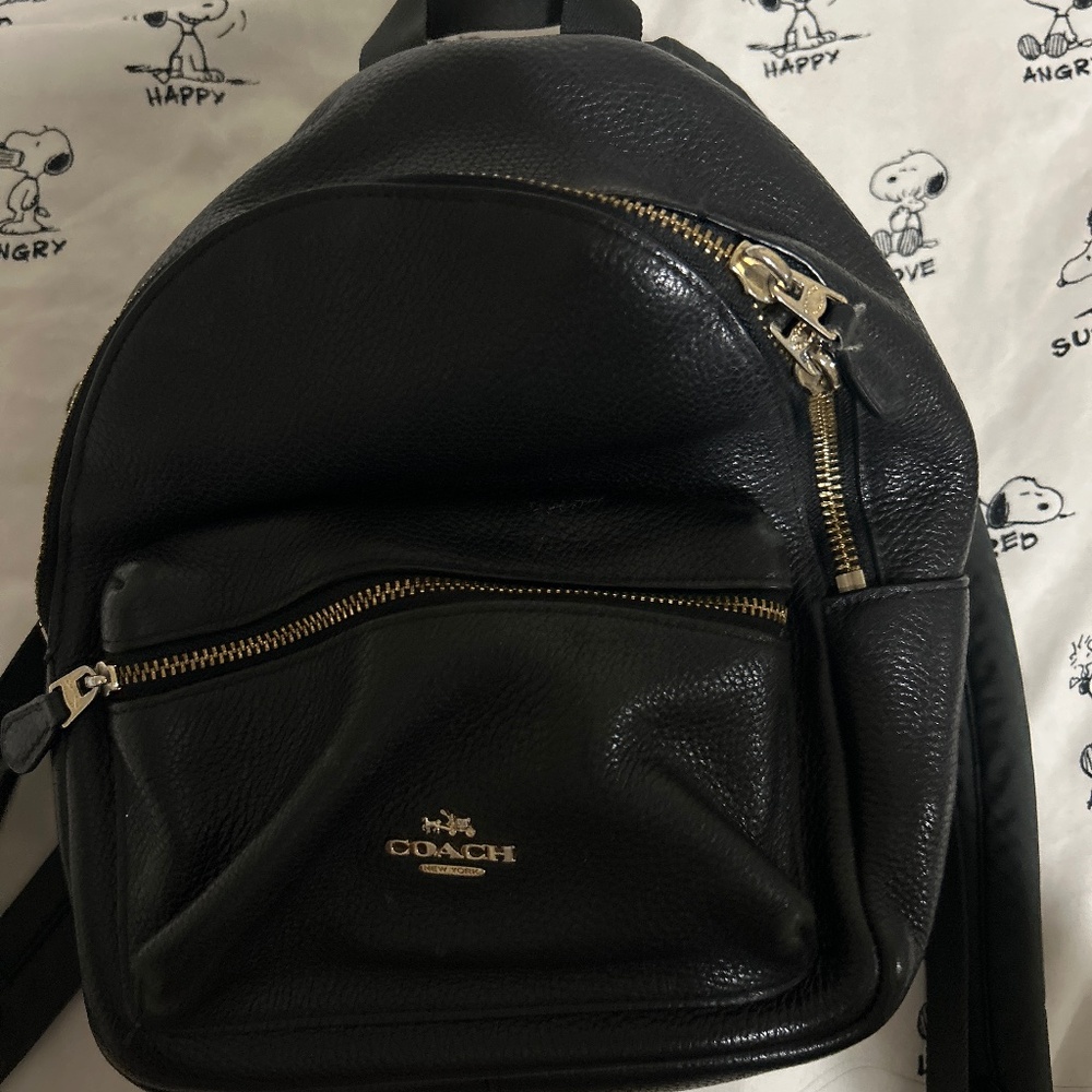 Coach Small Leather Backpack